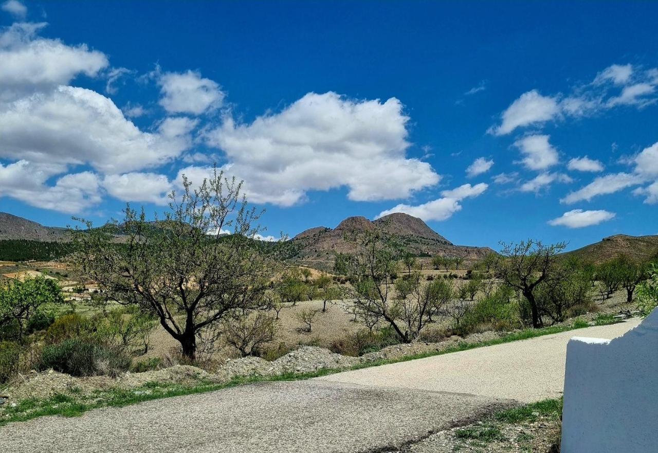 Cortijo Naturista Con Vistas-Clothing Optional Oria 외부 사진